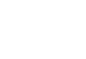 Skyfix Band Logo